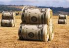 DETRÁS DE LA CORRIDA DEL DÓLAR ESTÁN LOS ESPECULADORES DEL AGRO