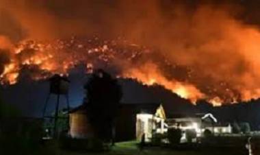 INCENDIOS EN LA PATAGONIA: UNA EMERGENCIA FORESTAL SIN PRECEDENTES