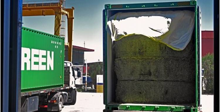 SAN LUIS, MÁS CERCA DE AMPLIAR EL FLUJO COMERCIAL CON CHINA