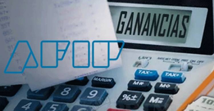 "UN TERCIO DE LAS GRANDES FIRMAS ELUDE GANANCIAS"